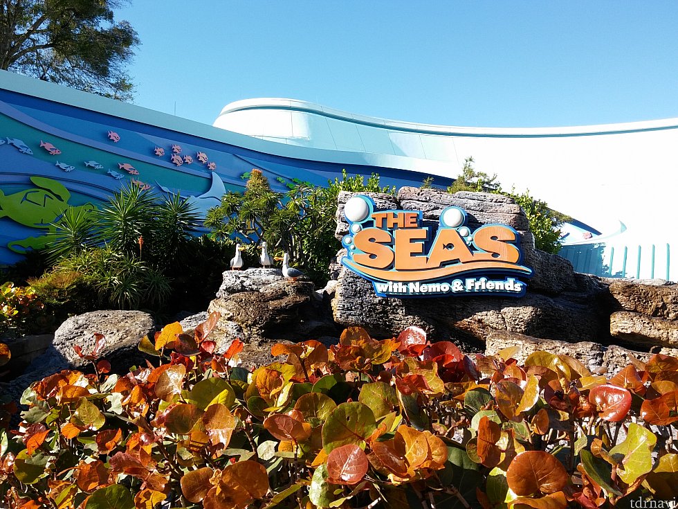 アトラクションや水族館とは入り口が別にあります