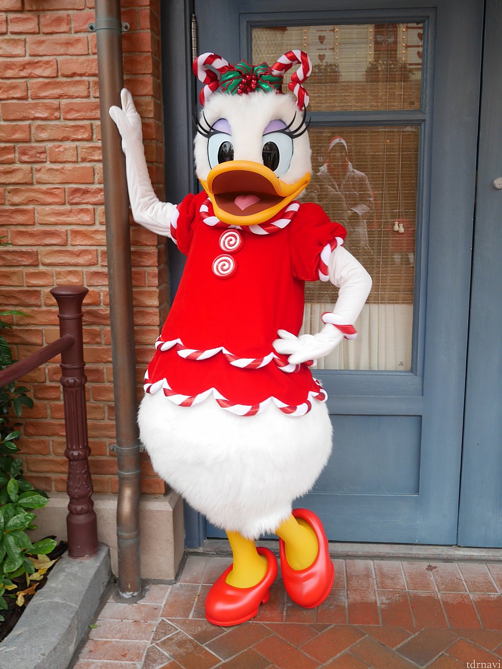 ディジーちゃんの頭のリボンもかわいいです❤