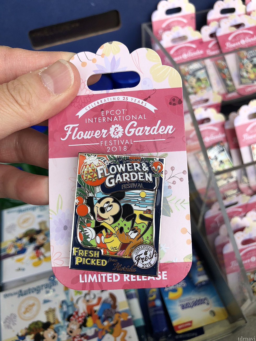 イベントのピンバッジ。これはKOZEEEEIさんがtdrnaviのプレゼント用に購入されて帰られたものですね!どなたがゲットされるんでしょうか。リミテッドエディションです!
