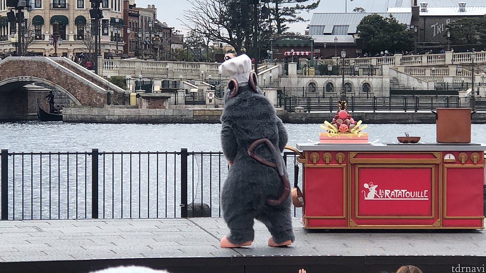 レミーの後ろ姿