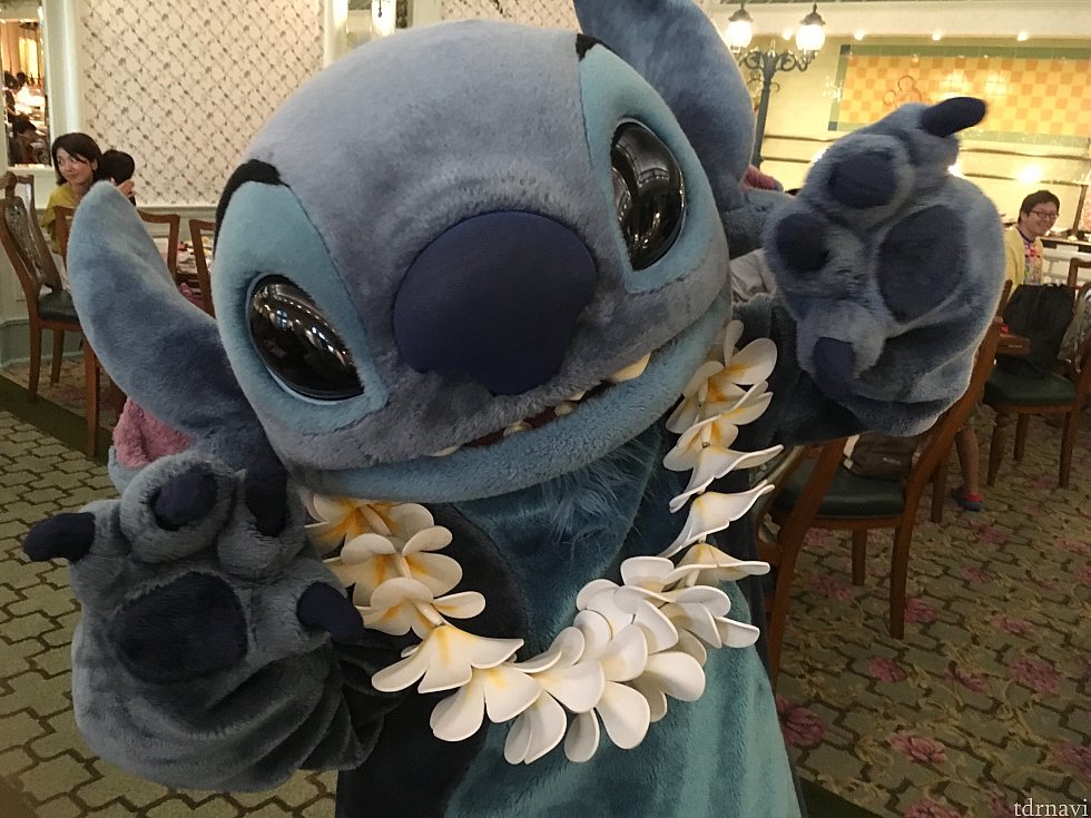 スティッチは元気いっぱい!
