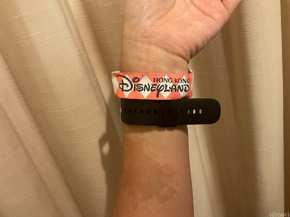 こちらがリストバンド。日によって色が違うのかな