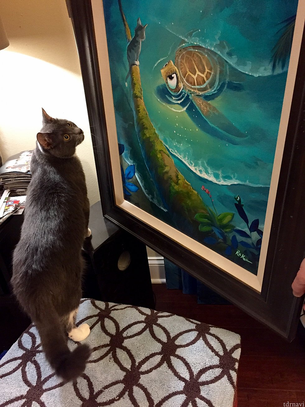 右側が彼の作品。亀を見下ろす猫がうちの子猫とそっくりだったのが印象に残りました。