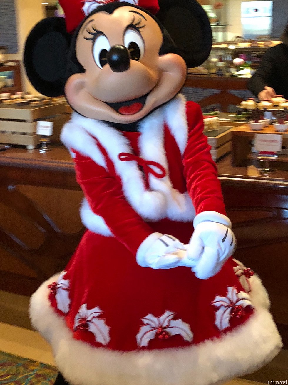 サンタミニーちゃんに会えます🎄