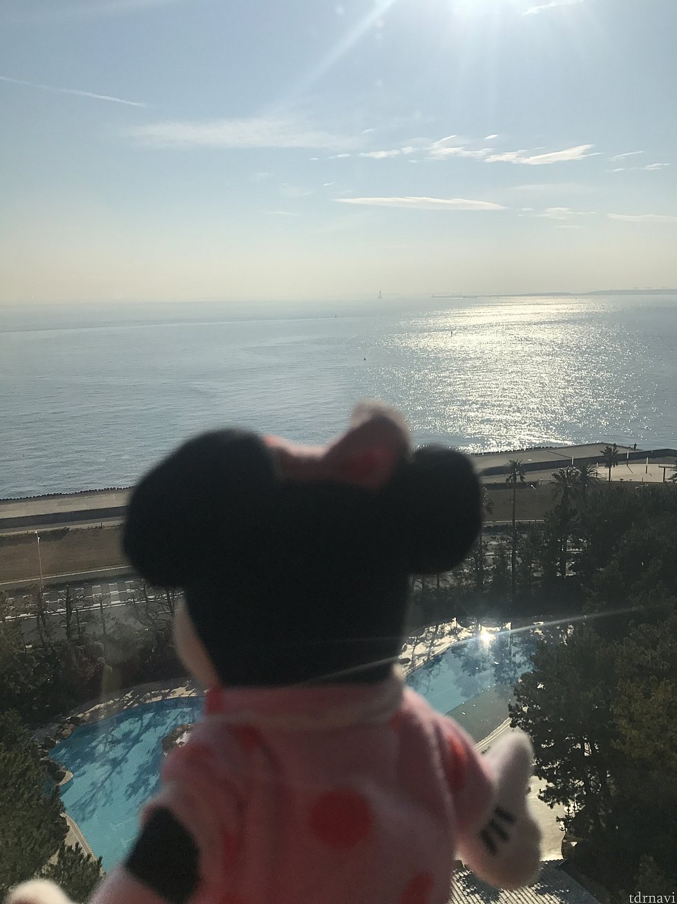 オーシャンビューはいいですね♡クルーズを妄想中です