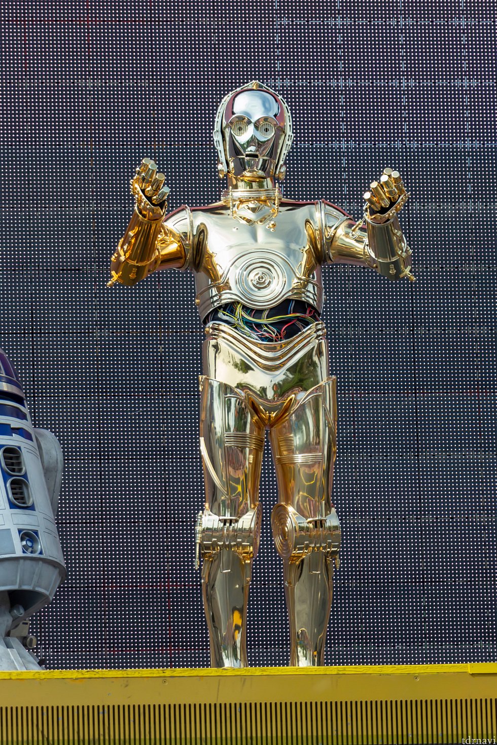C3-PO、金ピカで眩しい🤩