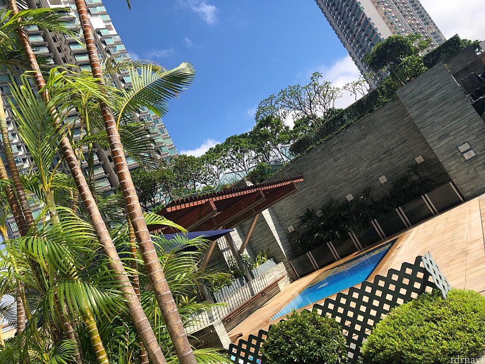 香港晴天なり🇭🇰
