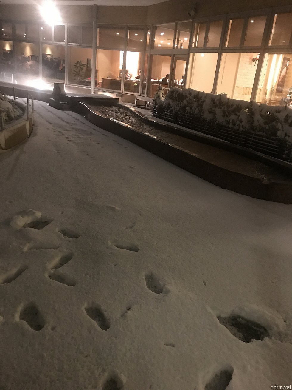 足湯エリアも雪