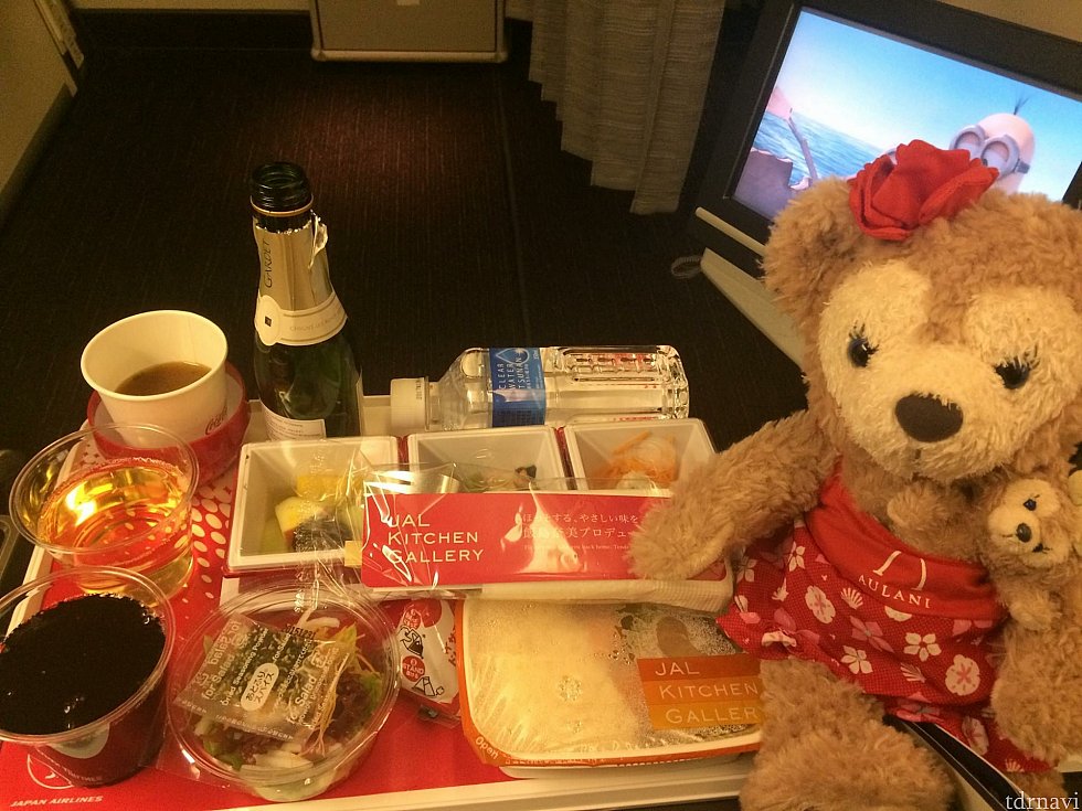 プレエコのお食事です