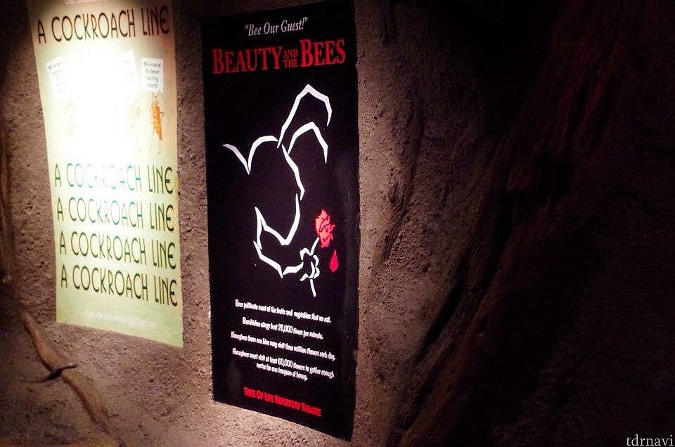 BEAUTY AND THE BEES !?(笑)