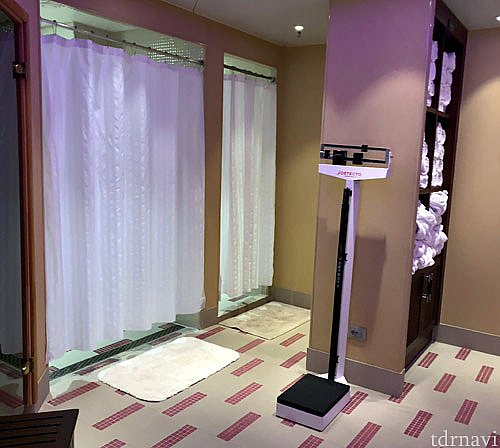 シャワーとタオル、体重計