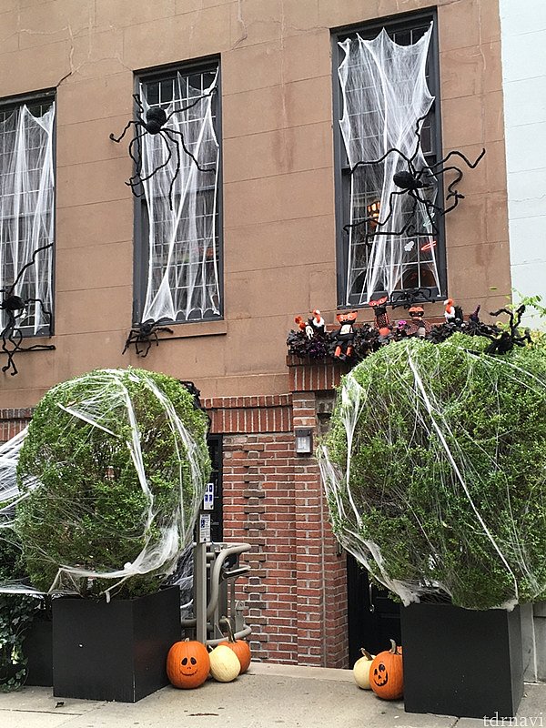 すべての窓にハロウィン装飾を施した家。
ドライバーが「ニューヨーカーはハロウィンに対してクレイジーだ」と笑ってました。