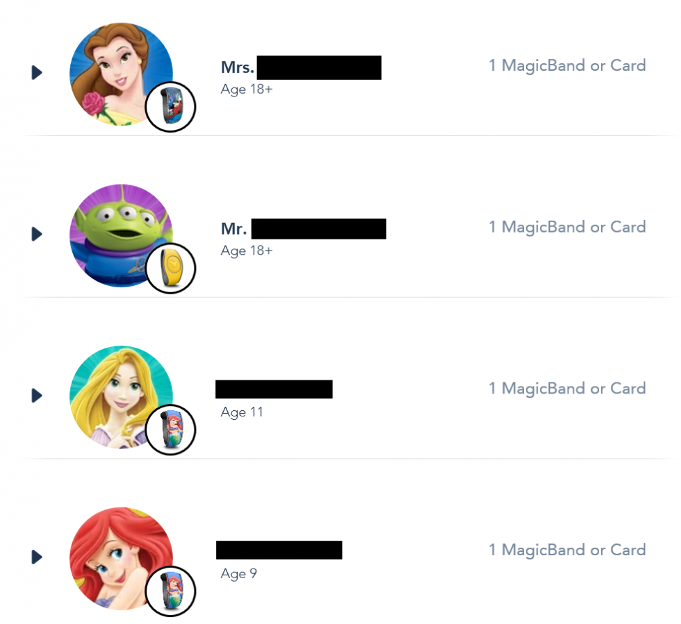 申し込みが完了すると購入したマジックバンドが表示されます。
