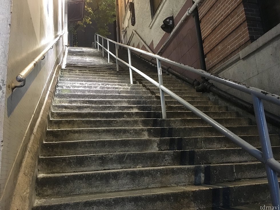 ここから最後の急階段!もうすぐ!!