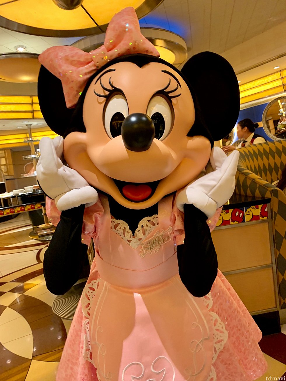 ニューフェイスのミニーちゃん!
こちらもカワイイですね😄