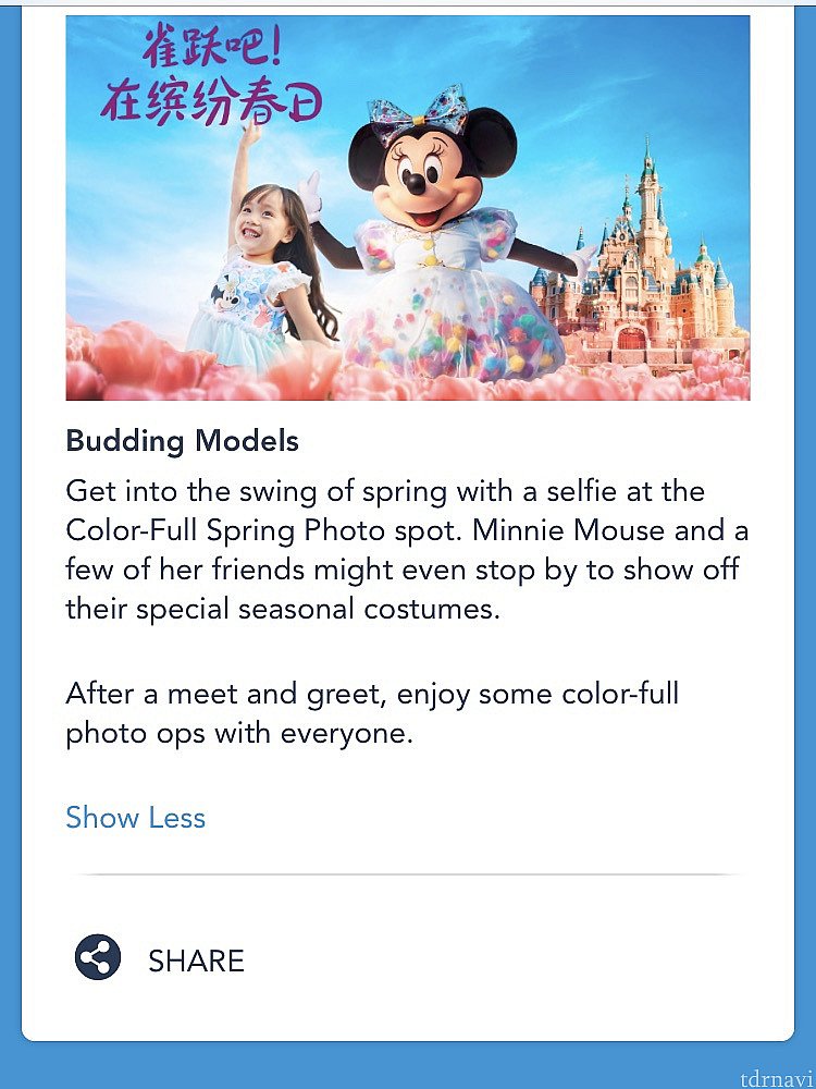 なるほど、確かに公式サイトに書いてある通り…
https://www.shanghaidisneyresort.com/en/entertainment/theme-park/color-full-spring-photo-spot/