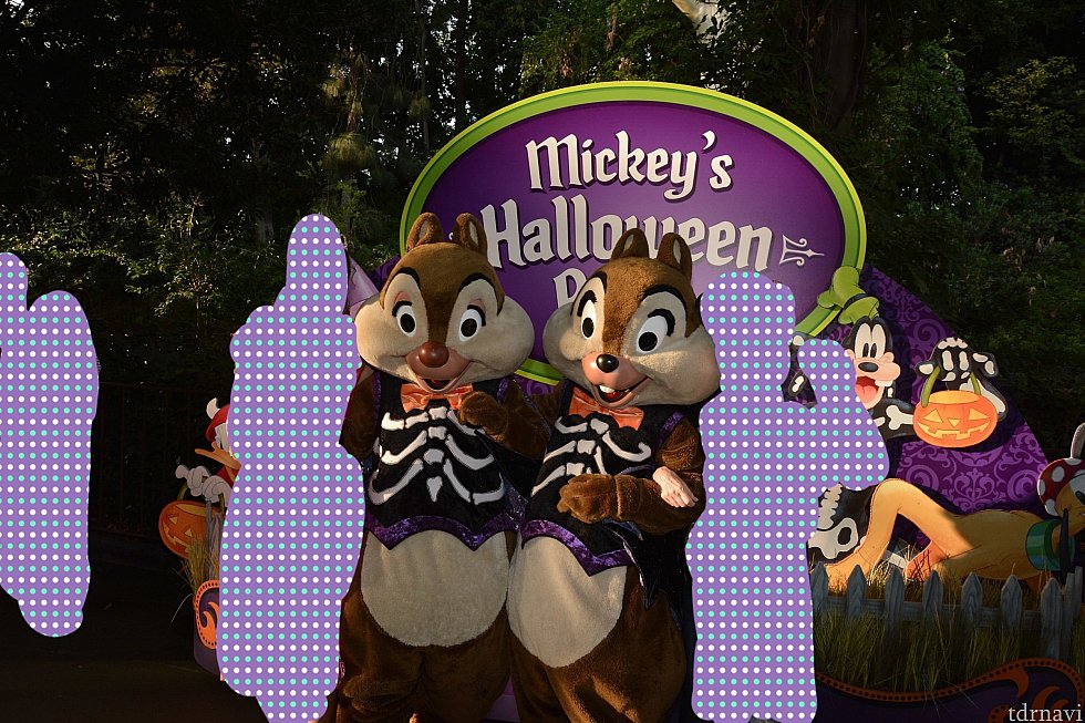 Toontown(The Fantasyland Theatre横)のチップ&デール