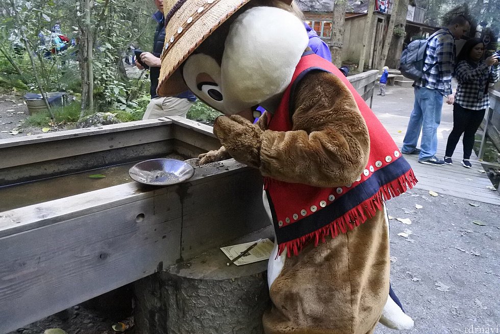 デールも金探しを頑張っていました笑😆
