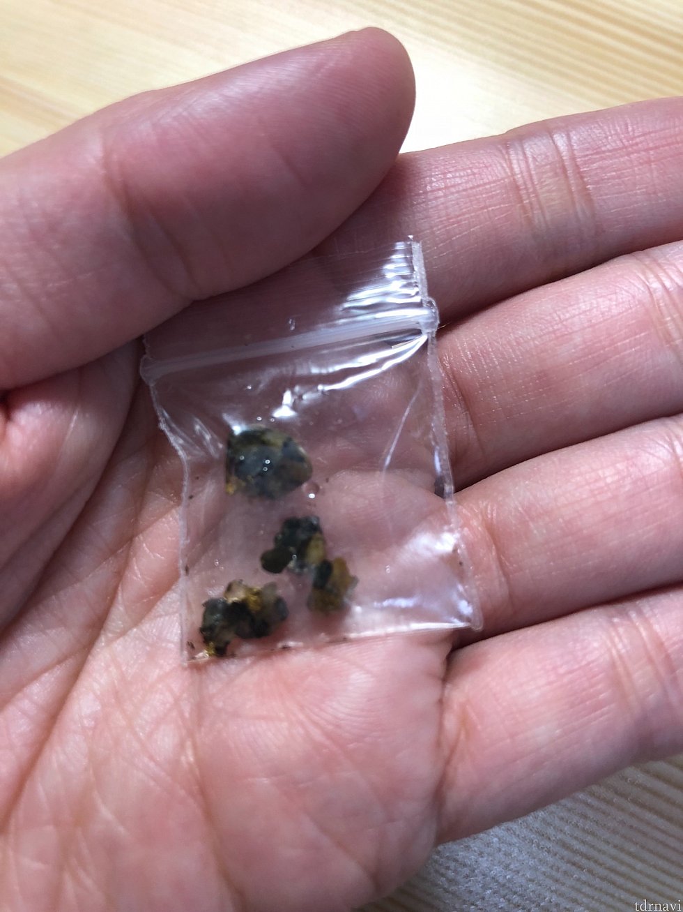持ち帰ってみたけど金はわずかにしか見つけられませんでした(金がへばりついた石も混じっていたのでそのまま石も持ち帰ってきました)