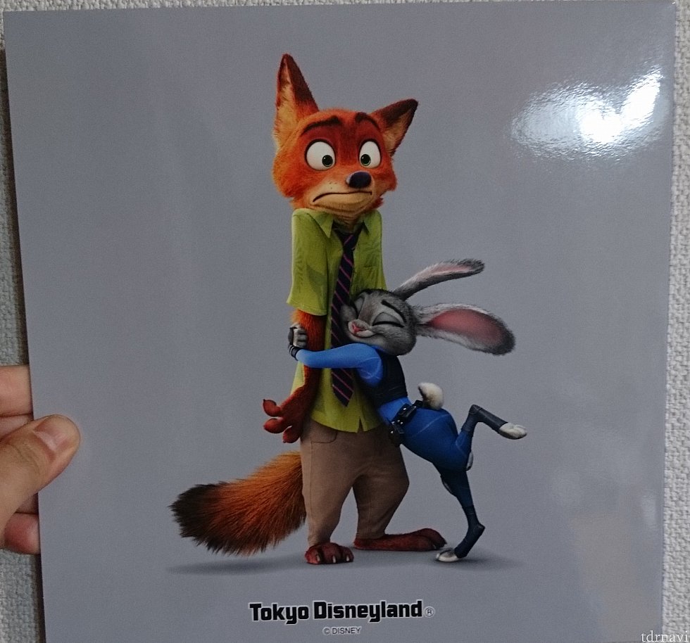 裏表紙にしっかりと東京ディズニーランドのロゴが💕