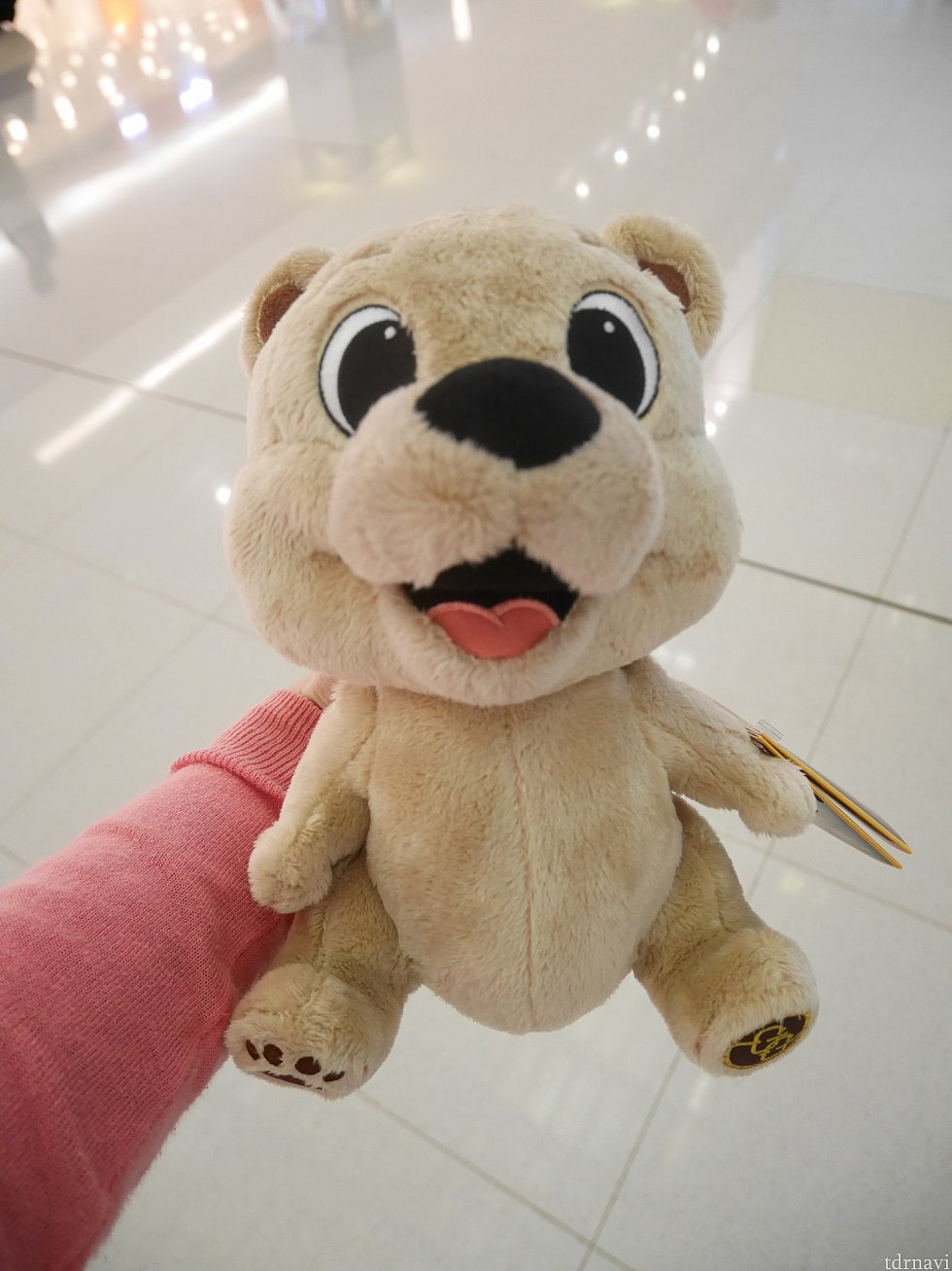 こちらは以前ここで70%オフで購入。
