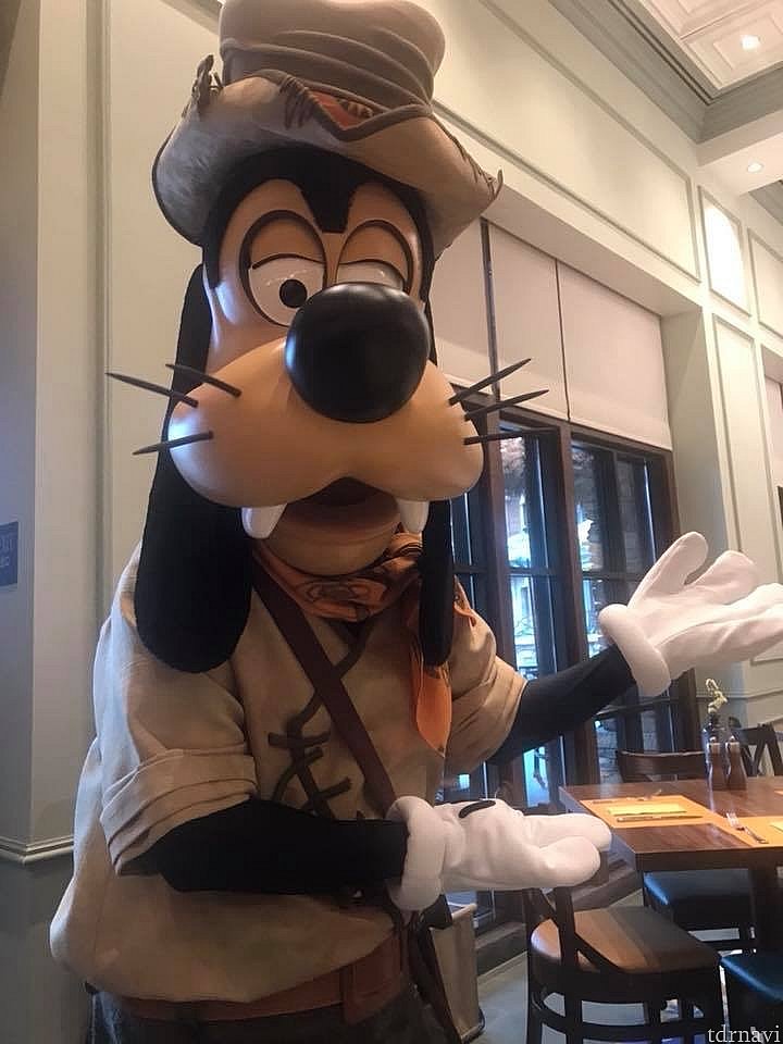 探検家グーフィーに出会えます♪