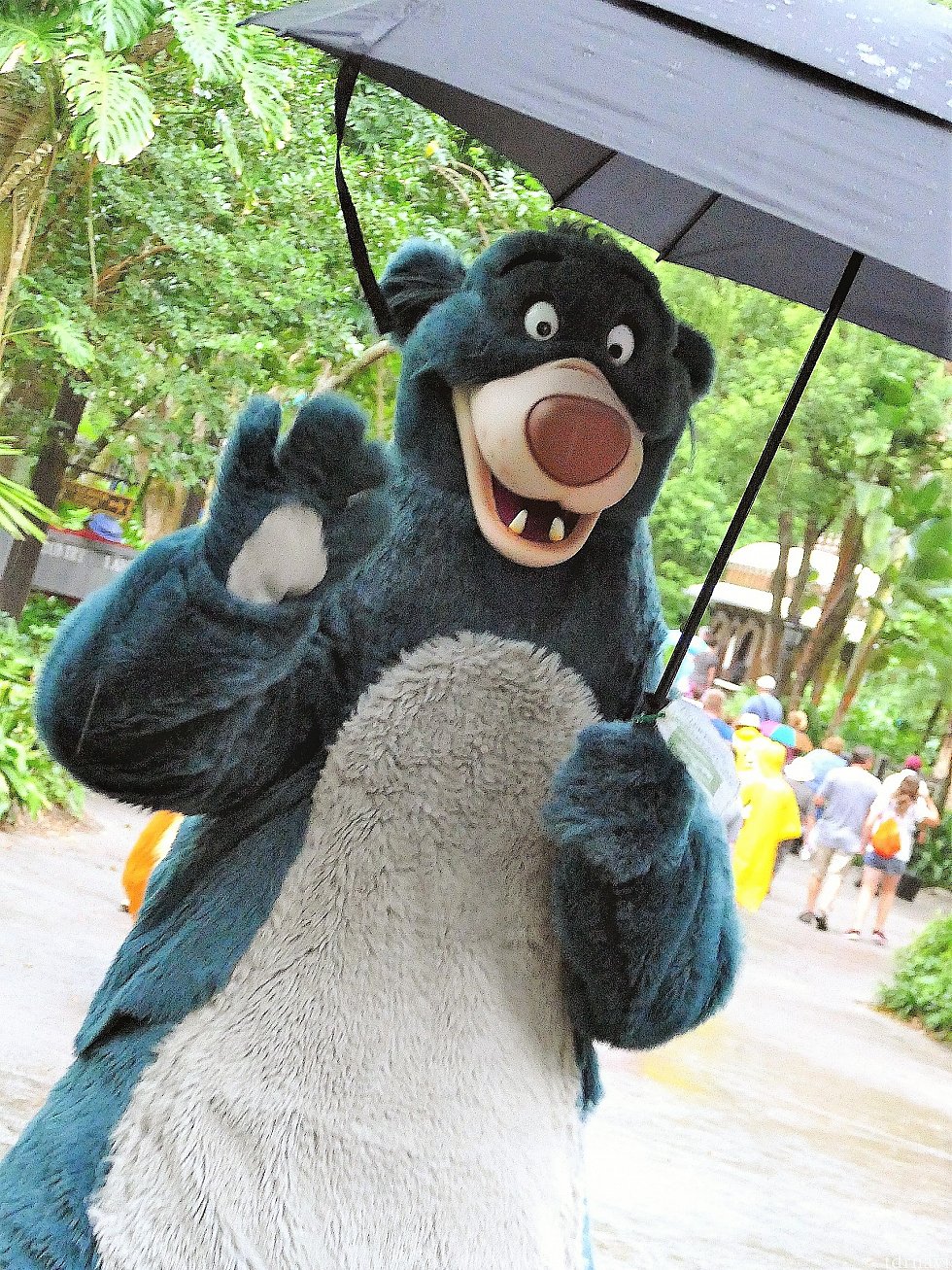 雨が降ると、こんな感じで傘をさして登場します(笑)