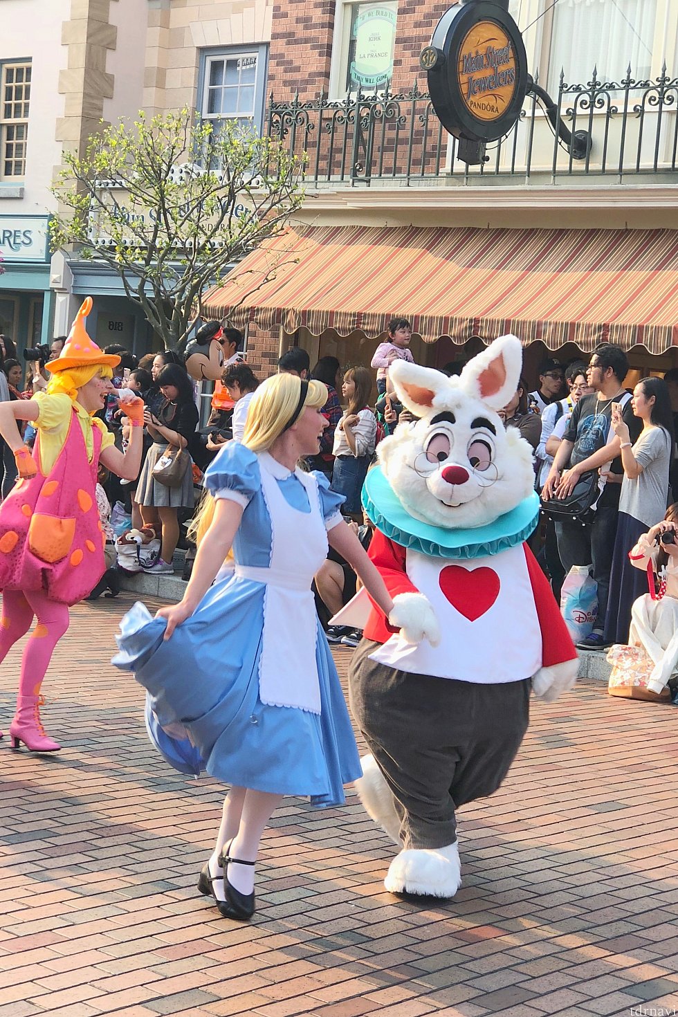 アリスと白うさぎです♪