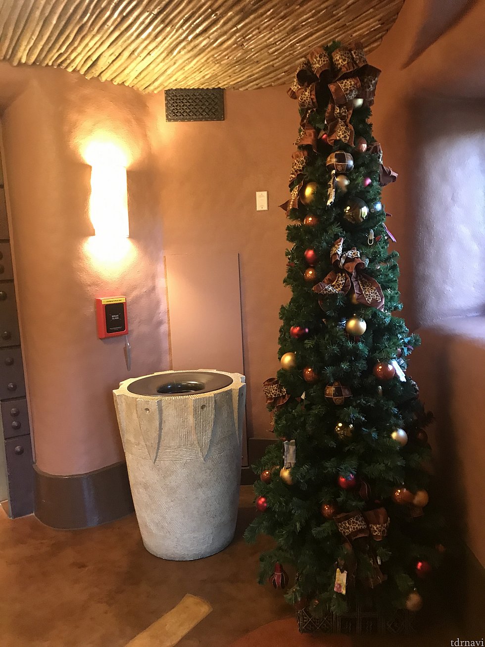 エレベーターホールにもクリスマスツリーがありました♪