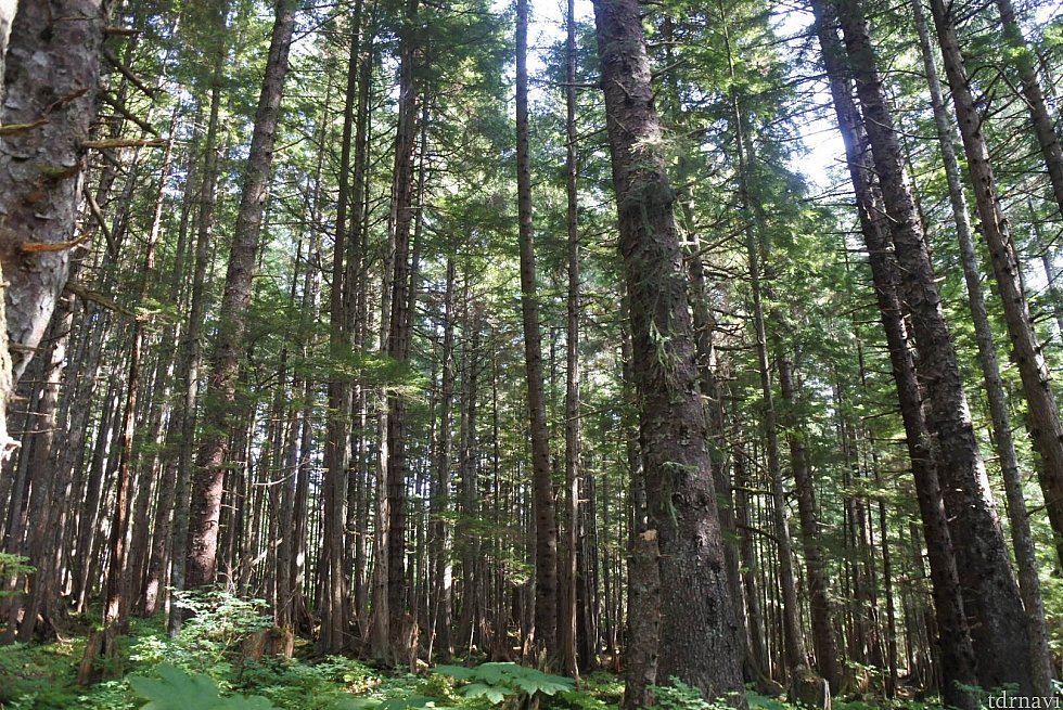NATURE TRAIL LOOP