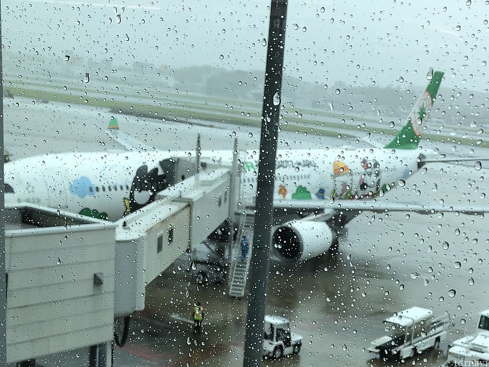 台風の影響で雨です☔️