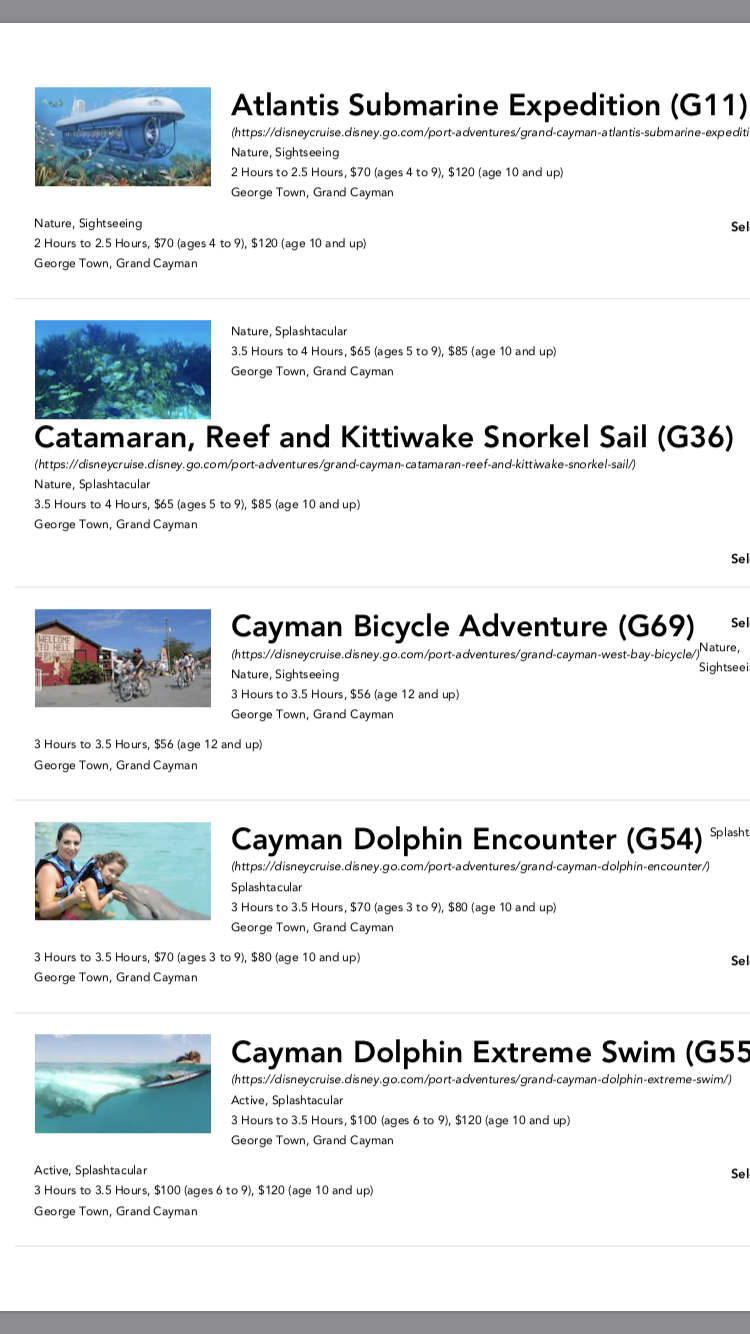 自転車やジープに乗るアクティビティもありますが、やはり海でのアクティビティが多いです。亀やエイと泳ぐことができます。