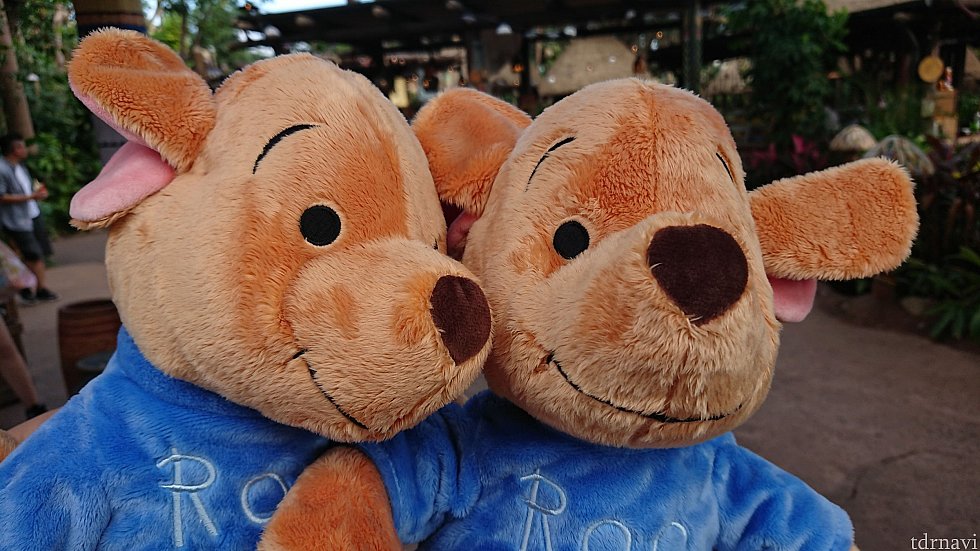 けっこう大きなぬいぐるみget。1個でいいから、1等のシンバに替えてというずうずうしい希望は却下されました(笑)