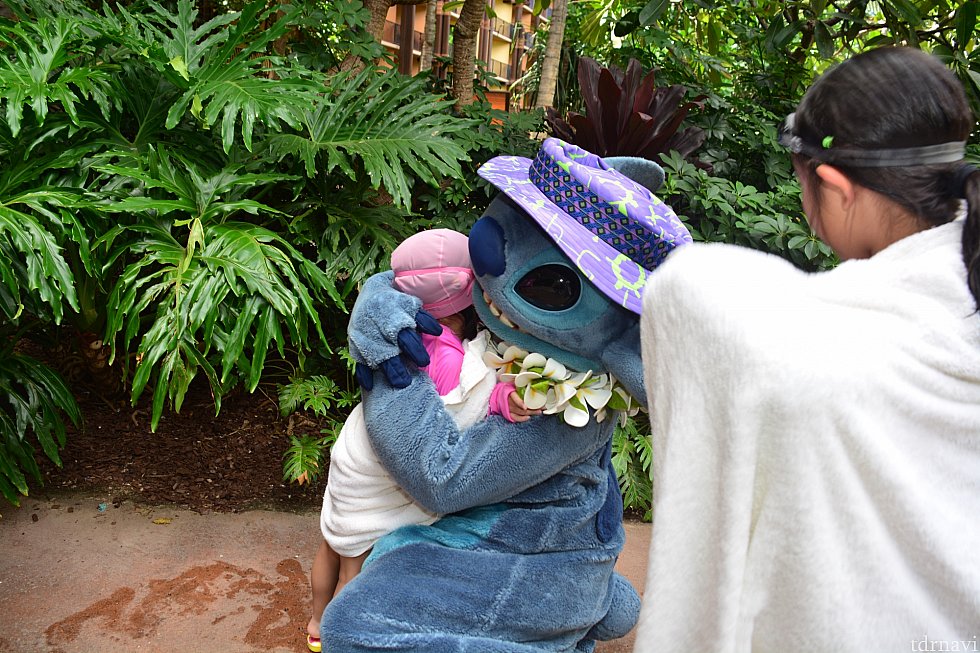 グリ写真はもちろん