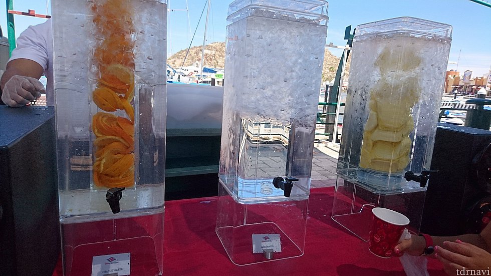 お水があるのも嬉しい!