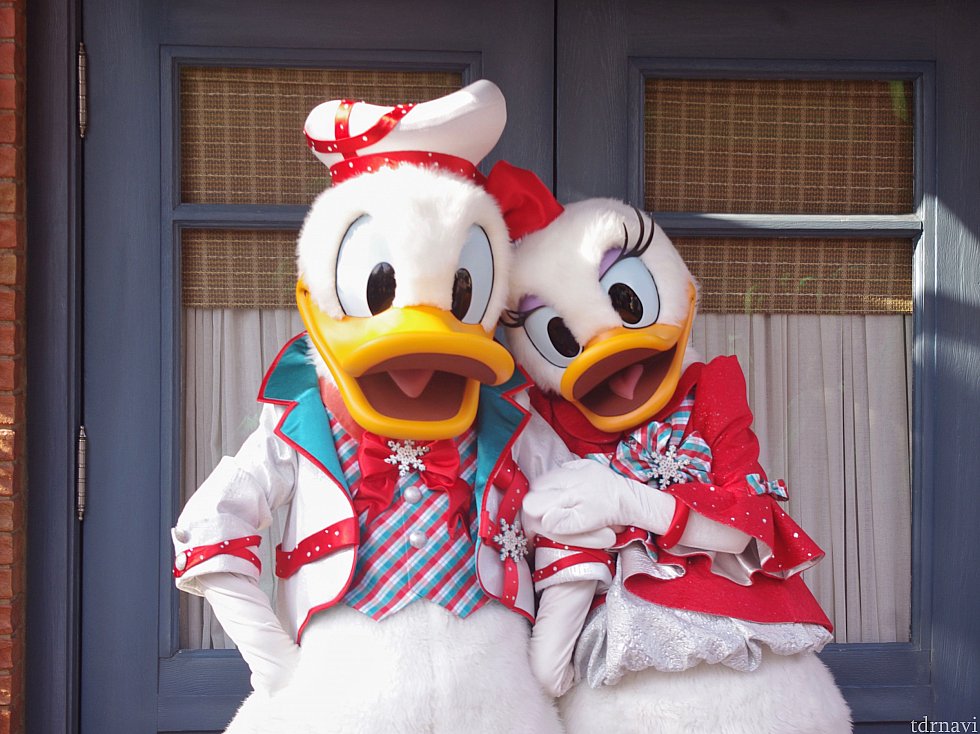 ドナデジも♡