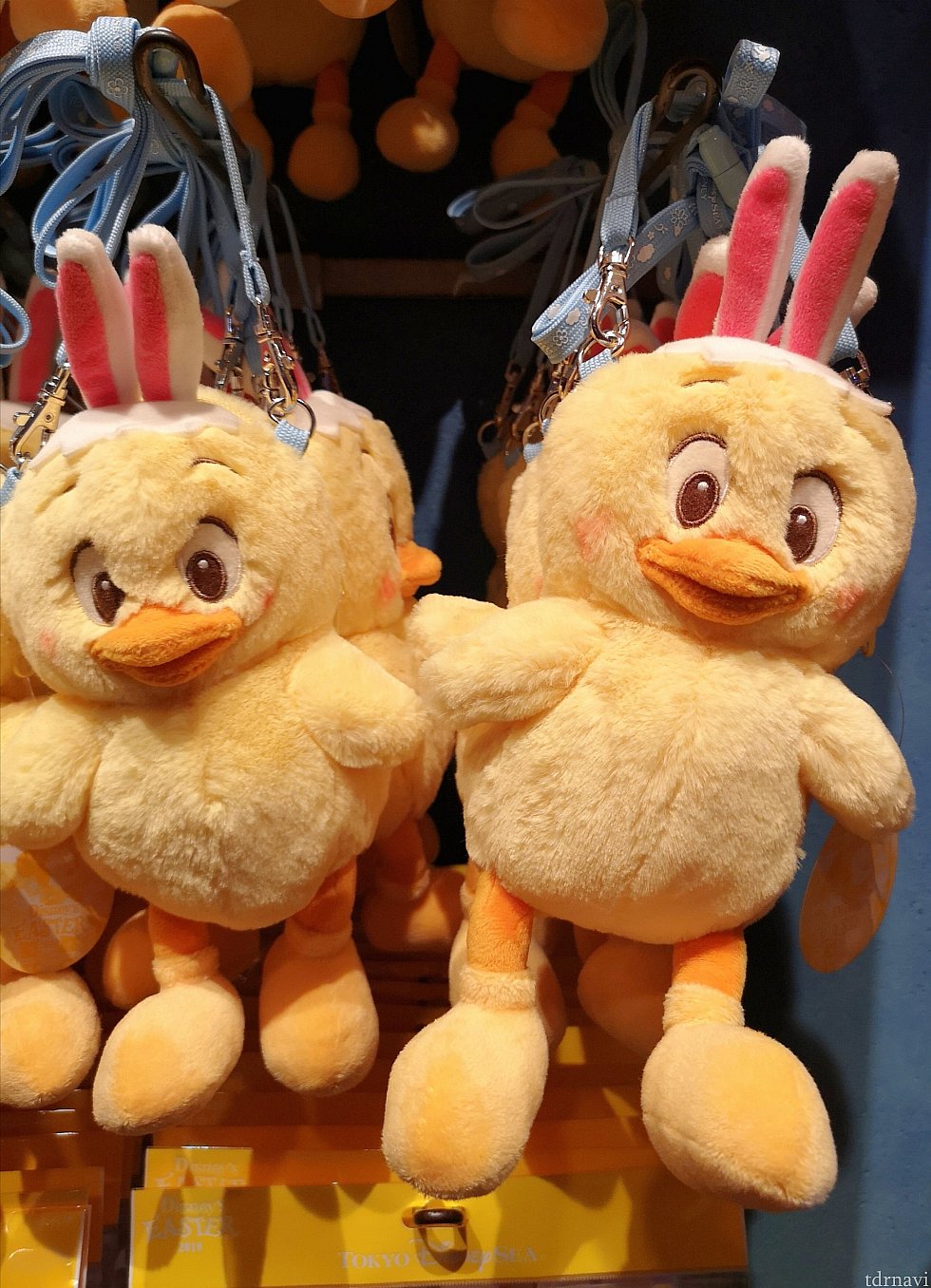 パスケース、1,900円です。こちらも直毛系でした。おそろいで首からぶら下げたら、かわいいこと間違いなしです!