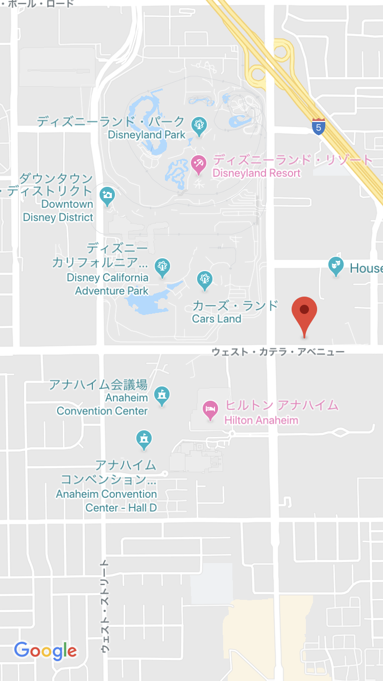 ホテルの場所は赤いピンのところ