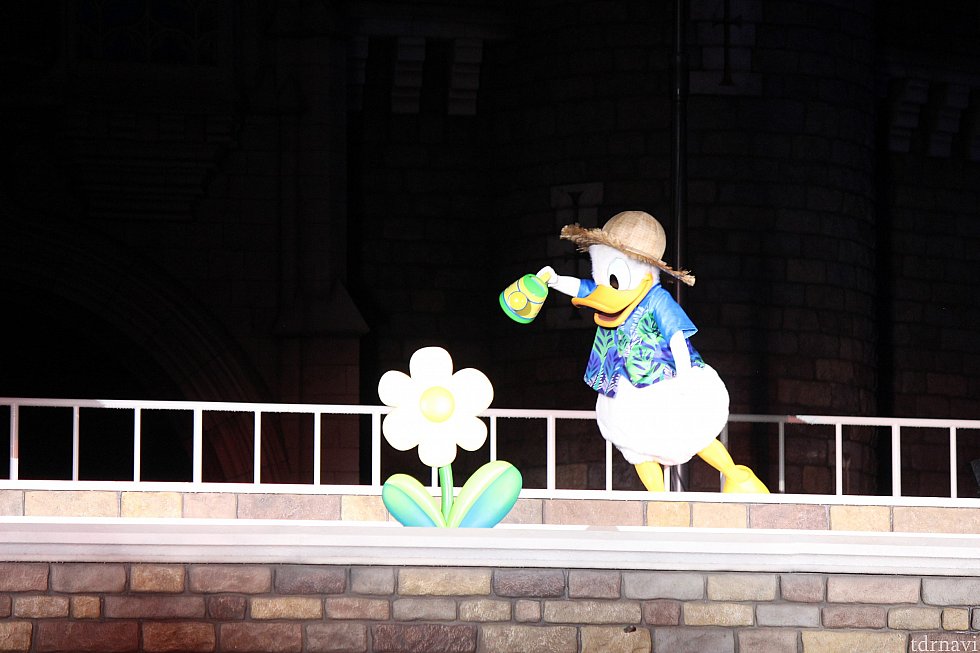 ドナルドがお花にお水をやっていると・・・