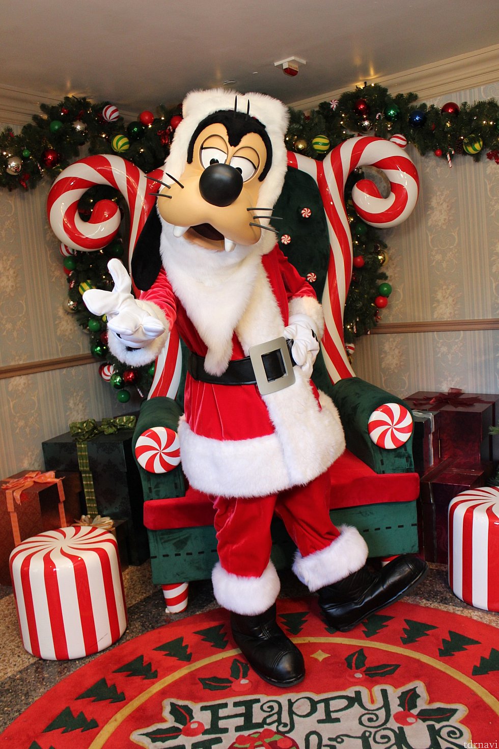 サンタグーフィー🎅