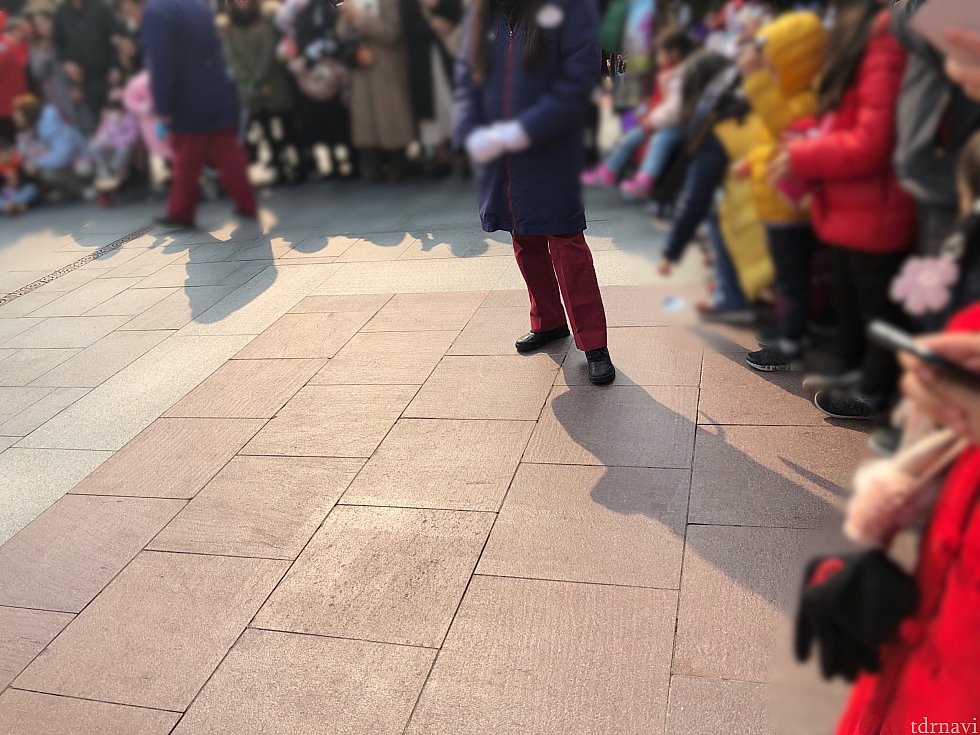 ロープなどはなく、地面の石の色の境目から6番目くらいが最前になるようです。