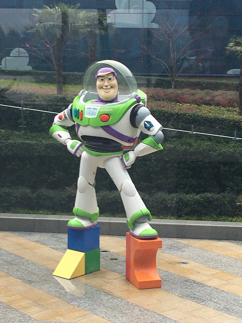 バズ