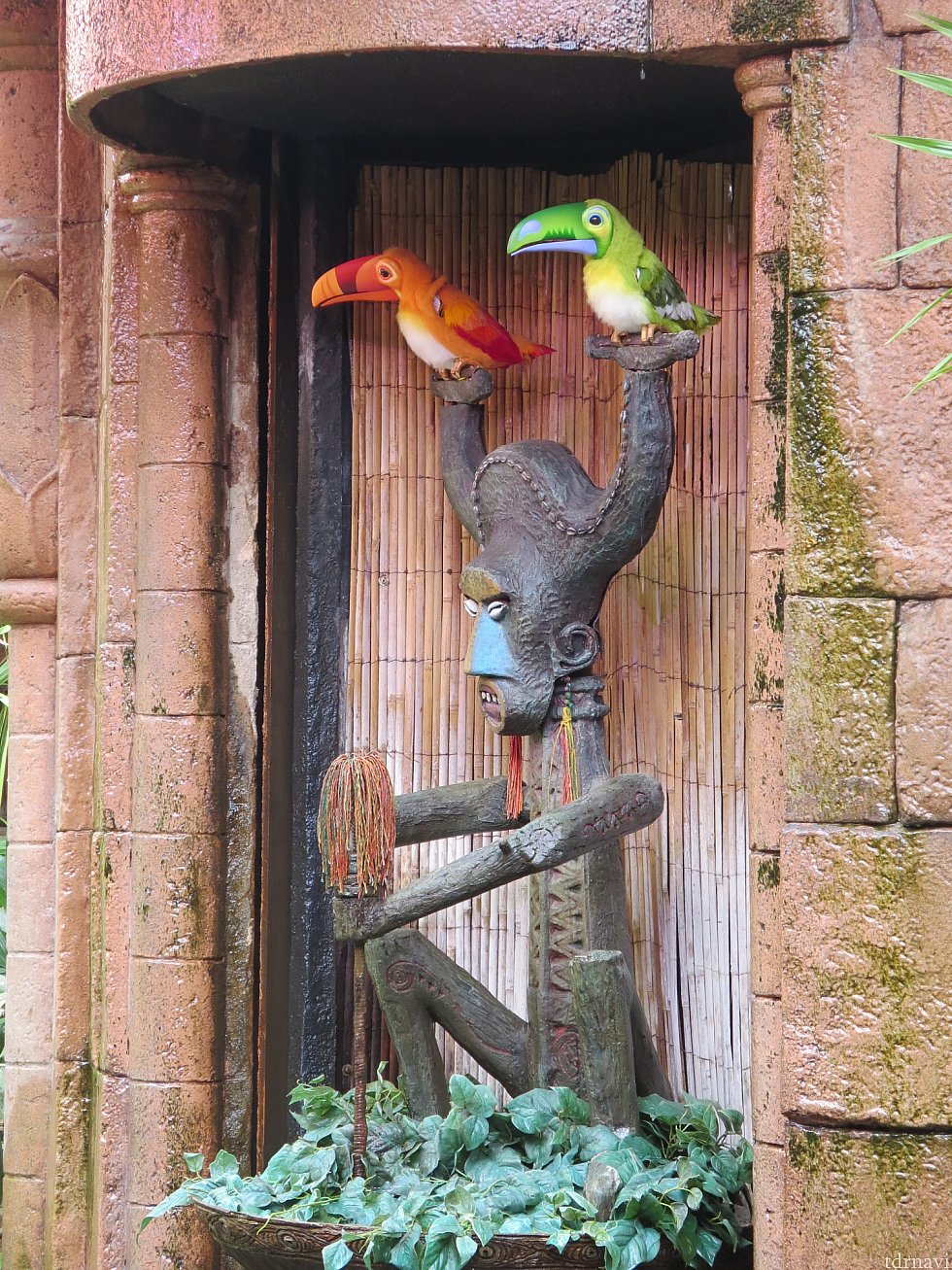 綺麗な鳥達