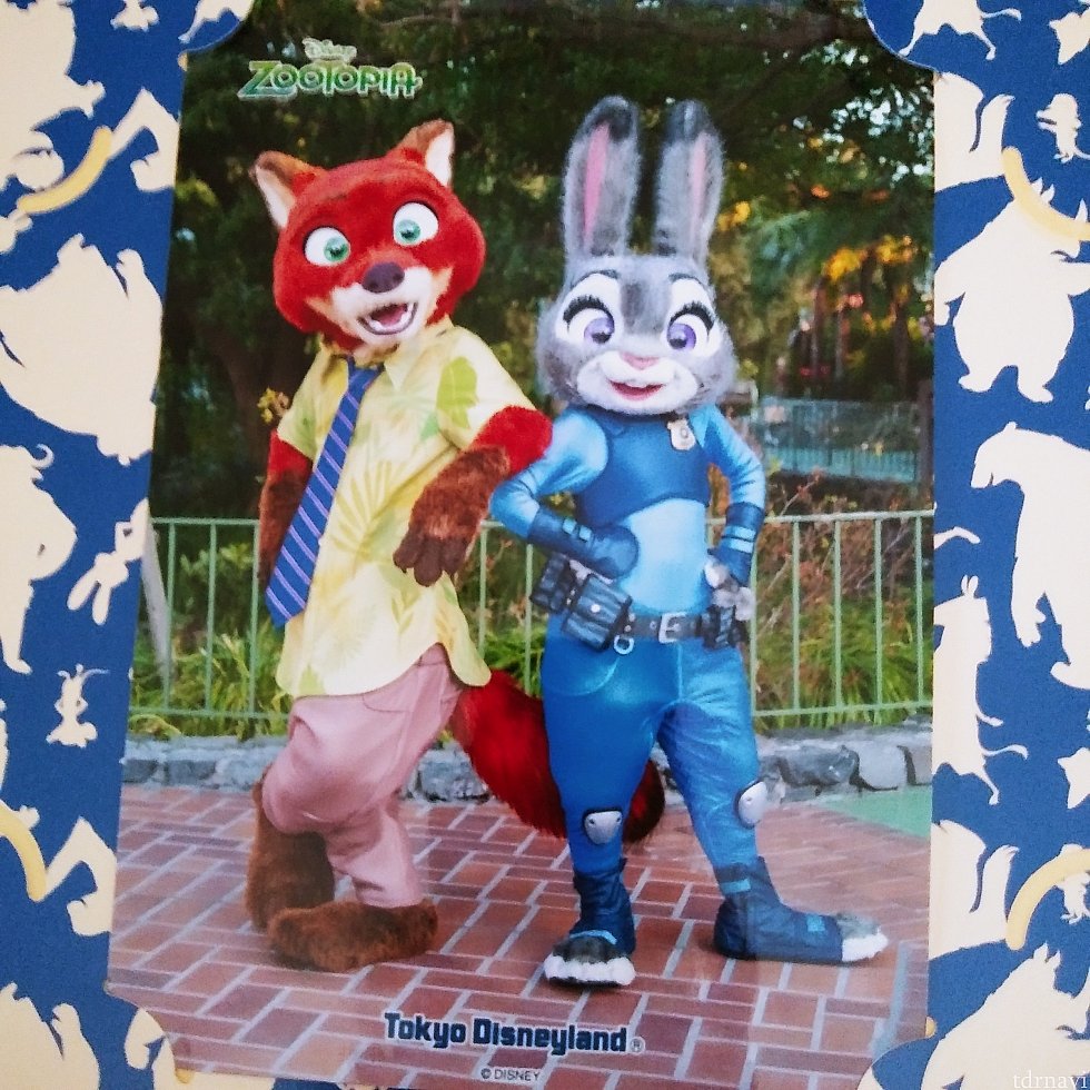 台紙についてる写真です