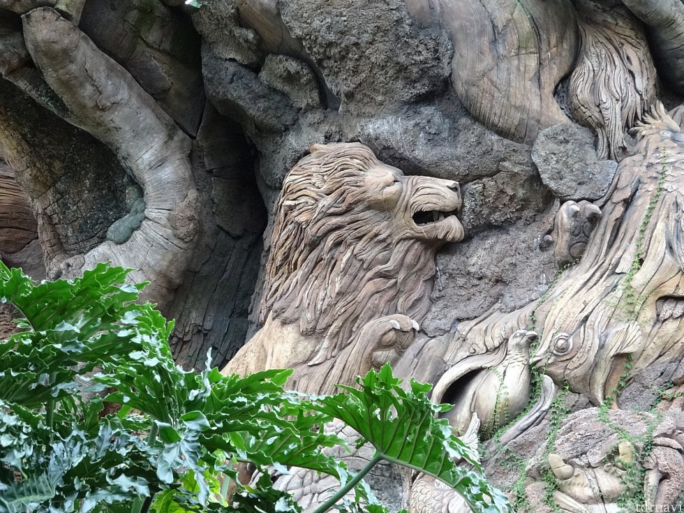 ライオン