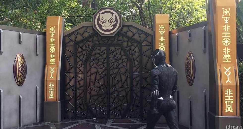 威厳がある後ろ姿です。
