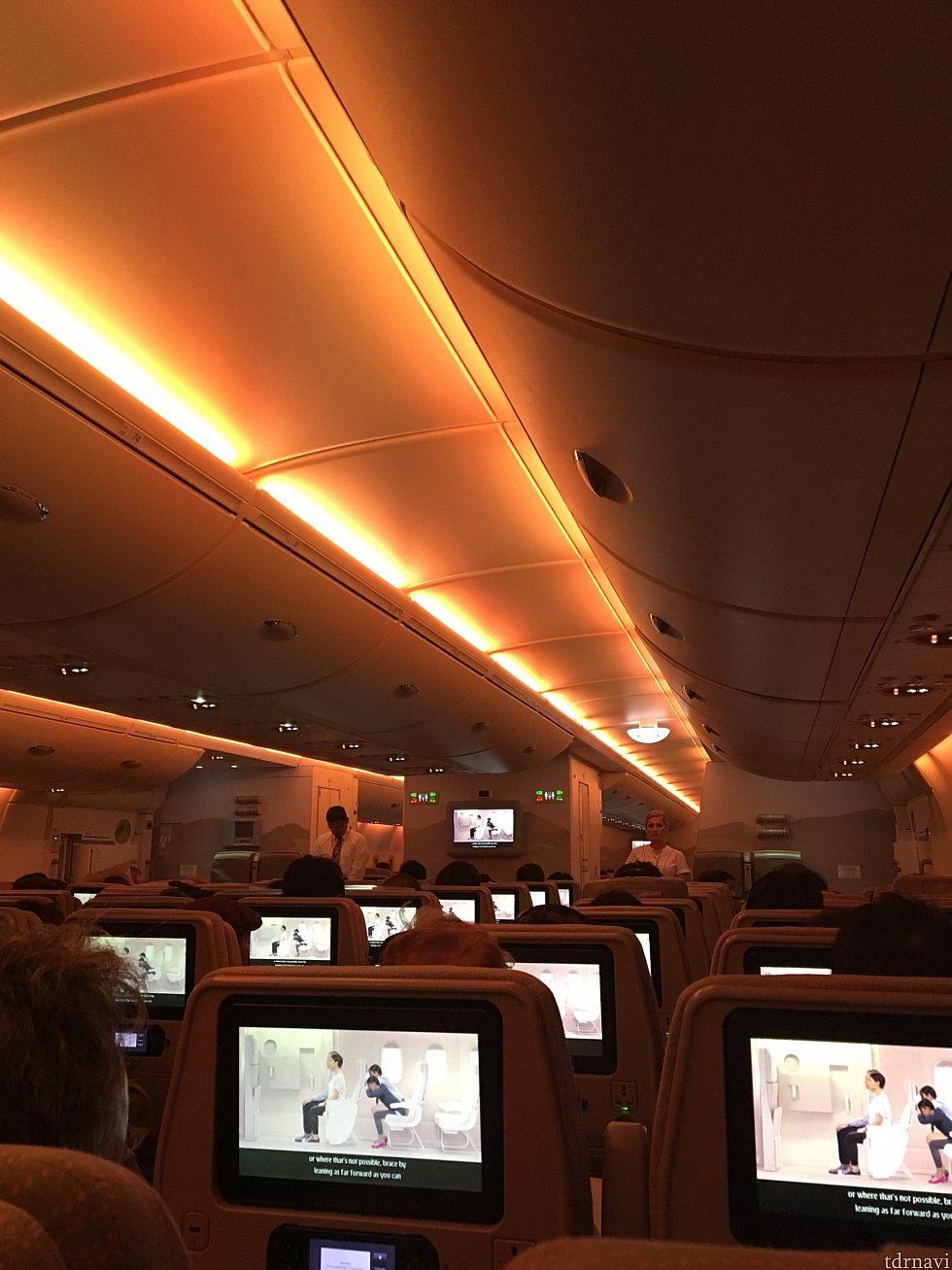 行きの機内です。深夜便なので少し機内暗めです。