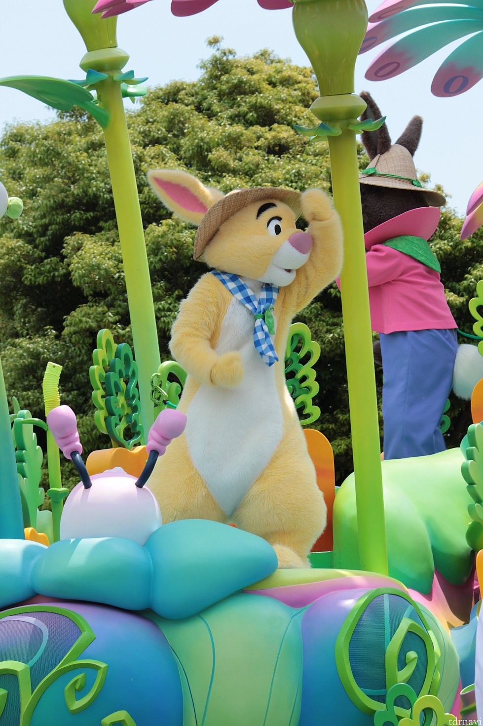 うさたまを探すラビット。