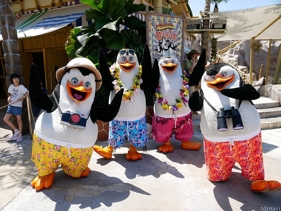 マダガスカルのショー後のグリーティングで会えたペンギンズ💕
双眼鏡やカメラを下げてて夏をめいっぱい楽しんでいる感じが最高です😁
