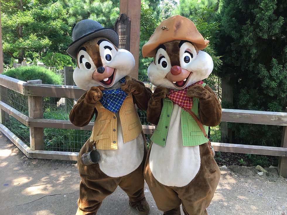 グリズリーガルチに移動し、チップ&デール。全く時間を調べず行っても会えるとは。ラッキー!